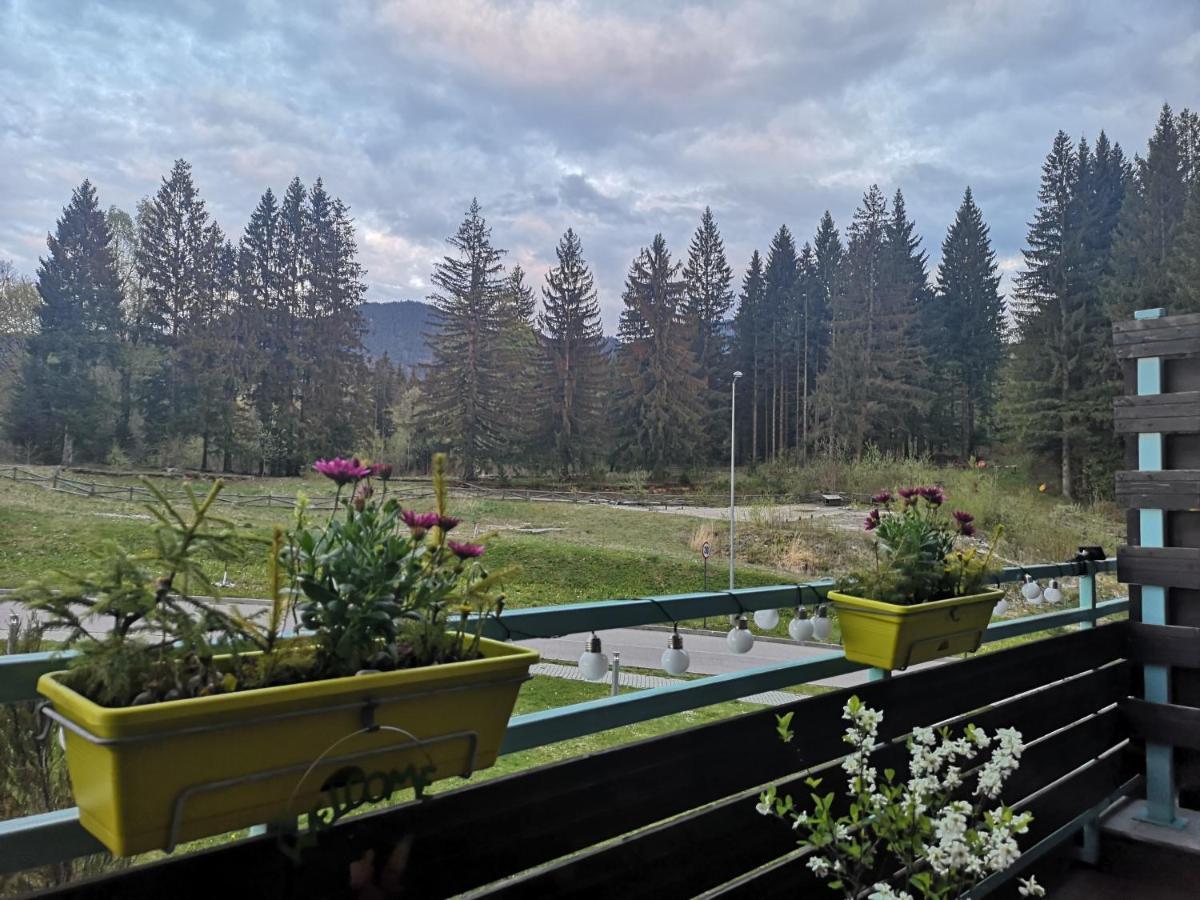 The Evergreen Nest - Silver Mountain Brassópojána Kültér fotó