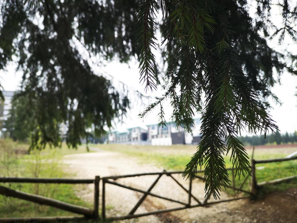 The Evergreen Nest - Silver Mountain Brassópojána Kültér fotó