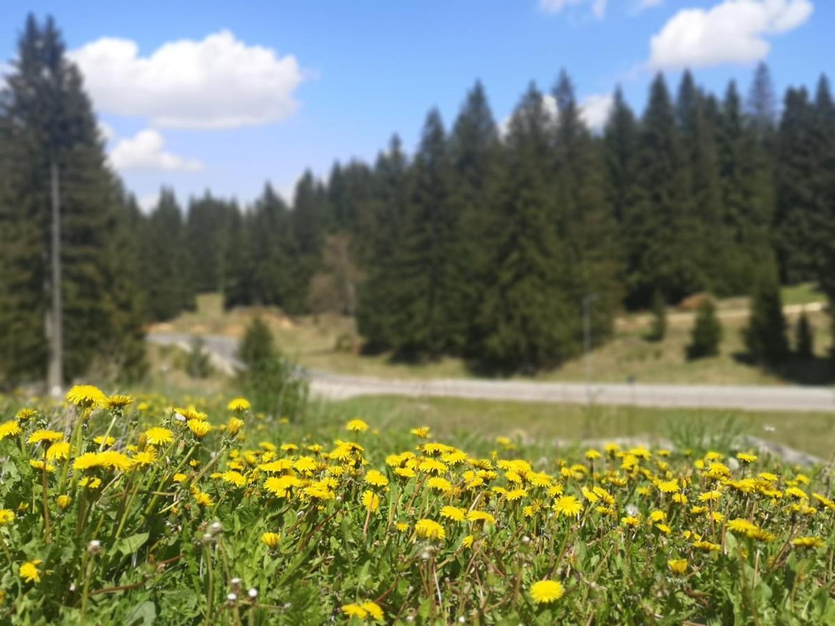 The Evergreen Nest - Silver Mountain Brassópojána Kültér fotó