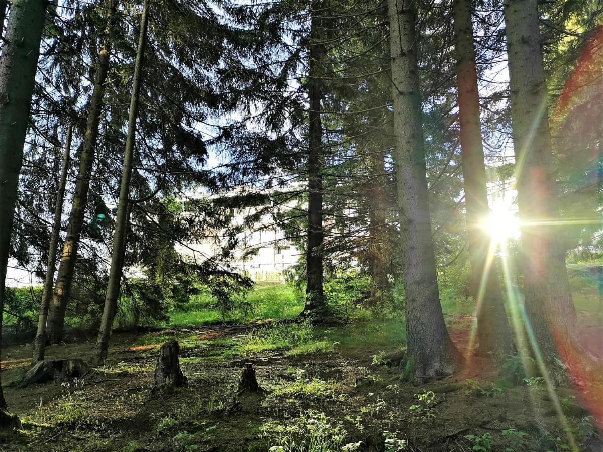 The Evergreen Nest - Silver Mountain Brassópojána Kültér fotó